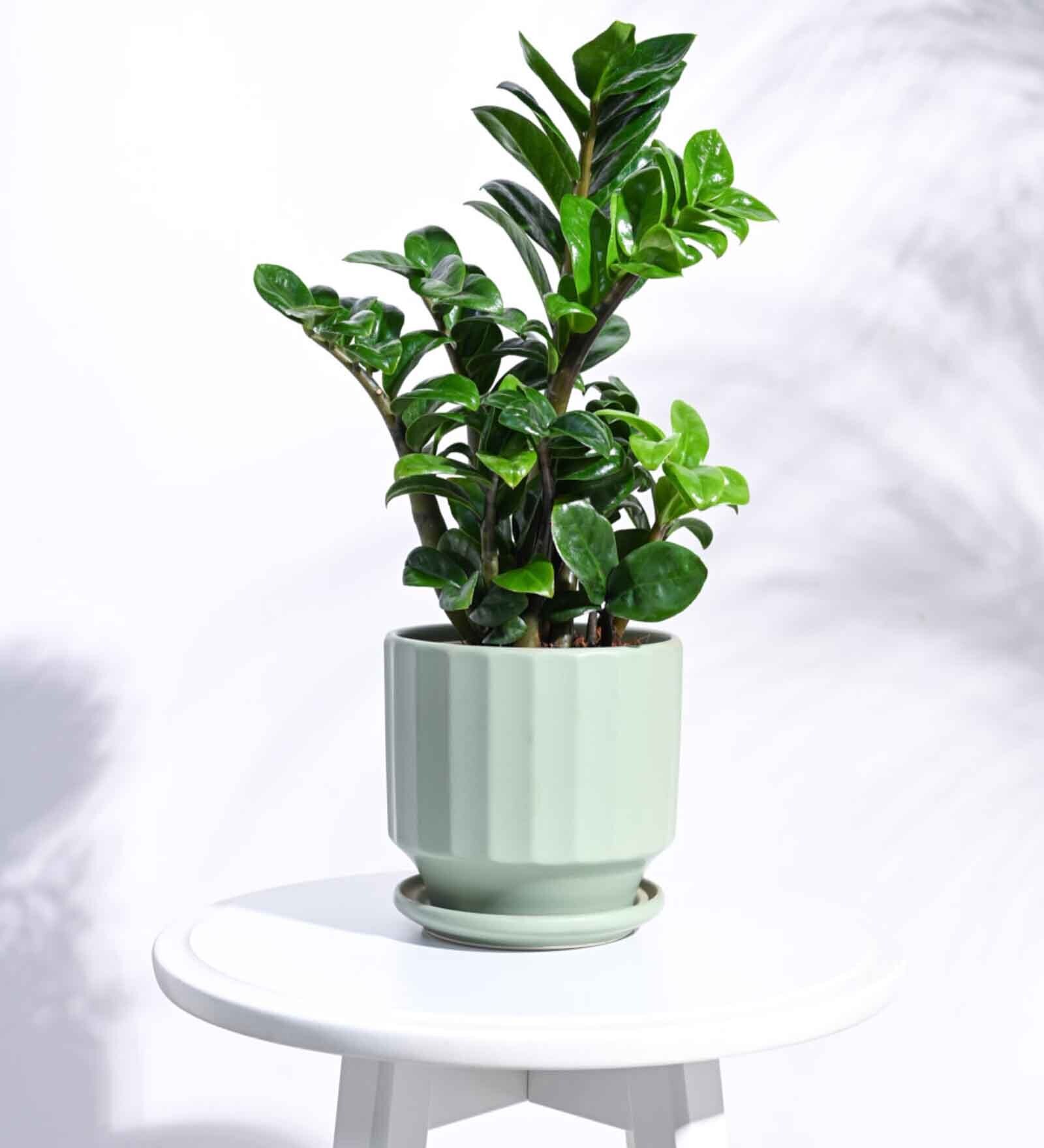 Mint Ceramic Desk Pot