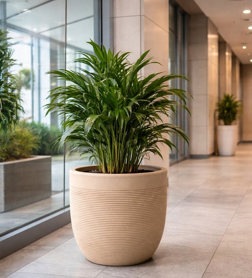 Cream Milano Round Molded 12 Inch Planter