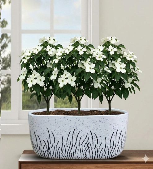 Minimal Grass Art Ceramic Planter Bowl White Decorative Succulent Pot for Home & Office Decor