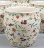 Justin 190ml Cream (Set of 6) Ceramic Tea Khullad