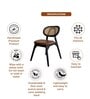 Mica Solid Wood Dining Chair In Brown Finish