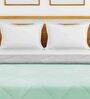 Mint Microfiber 180 AC Room Double Bed Comforter