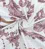 Microfiber Damask Fitted Bedsheet with 2 Pillow Covers -Ivory, 72x78+10 Inch