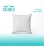 Microfiber Filled Polyester 12 x 12 Inch Cushion Insert