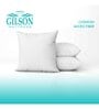 Microfiber Filled Polyester 16 x16 Inch Cushion Inserts (Set of 3)