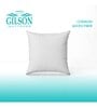 Microfiber Filled Polyester 24 x 24 Inch Cushion Insert