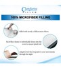 Peeko Microfiber 27 x 16 Inch Pillow