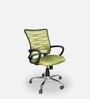 Mid Back Ergonomic Chair In In Lighte Green Colour Colour