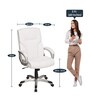 Charles Mid Back Executive Chair In White Colour