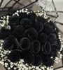 Midnight Noir Preserved Rose