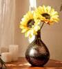 Mieko Black Iron (Pack of 2) Vases
