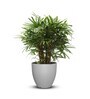 Milano Grey Polymer Floor Planter