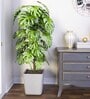 Milano Toyo Medium Grey Polymer Floor Planter