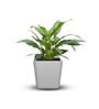 Milano Toyo Medium Grey Polymer Floor Planter