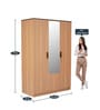 Milford 3 Door Wardrobe in Urban Teak Finish with Mirror