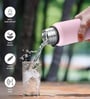 Milton Brim 600 Stainless Steel Water Bottle 560 Ml Single Wall Leak Proof Purple