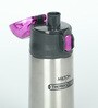 Milton Thermosteel Crown Purple Steel 350 ML Water Bottle