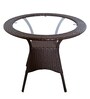 Mina Wicker Patio Table and Chair Set in Brown Matte Colour with 4 Chairs