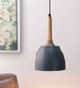 Antz Ming Blue Metal Hanging Light