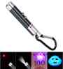 Mini Laser Pointer Beam Light Torch with Key Chain