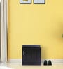 Mini Shoe Rack with Seating in Wenge Finish