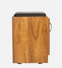 Mini Shoe Rack with Seating in Tan Matte Finish