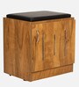 Mini Shoe Rack with Seating in Tan Matte Finish
