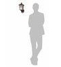 Mini Transitional Outdoor Wall Sconce | Dark Brown Finish, Geometric Profile