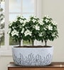 Minimal Grass Art Ceramic Planter Bowl White Decorative Succulent Pot for Home & Office Decor