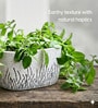 Minimal Grass Art Ceramic Planter Bowl White Decorative Succulent Pot for Home & Office Decor
