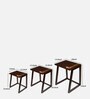Mink Solid Wood Nest Of Tables  in Walnut Colour (Set Of 3)