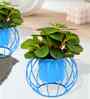 Set Of 2 Blue Metal Plant Stand