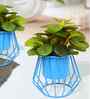 Set Of 2 Green Metal Plant Stand