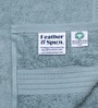 Mint Breeze 100% Organic Cotton Solid 550 GSM Hand Towels (2 Pc)