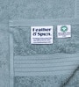 Mint Breeze 100% Organic Cotton Solid 550 GSM Hand Towels Pack of 2