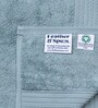 Mint Breeze 100% Organic Cotton Solid 650 GSM Bath Towel Pack of 1
