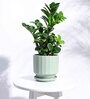Mint Ceramic Desk Pot