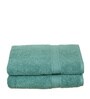 Mint Green Cotton Solid  500 GSM Bath Towels Pack of 2