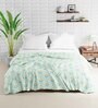 Mint Polyester 150 Mild Winter Double Bed Comforter