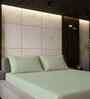 Minted Green Solid 500 TC Pure Cotton King Fitted Bedsheet with 2 Pillow Covers