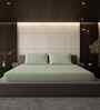 Minted Green Solid 500 TC Pure Cotton King Fitted Bedsheet with 2 Pillow Covers