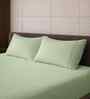 Minted Green Solid 500 TC Pure Cotton King Fitted Bedsheet with 2 Pillow Covers