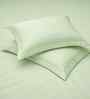 Minted Meadows Solid 300 TC Pure Cotton King Fitted Bedsheet with 2 Pillow Covers