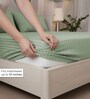 Minted Meadows Stripe 300 TC Pure Cotton King Fitted Bedsheet with 2 Pillow Covers