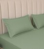 Minted Meadows Stripe 300 TC Pure Cotton King Fitted Bedsheet with 2 Pillow Covers