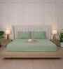 Minted Meadows Stripe 300 TC Pure Cotton King Fitted Bedsheet with 2 Pillow Covers