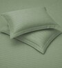 Minted Meadows Stripe 300 TC Pure Cotton King Fitted Bedsheet with 2 Pillow Covers