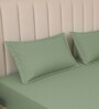 Minted Meadows Stripe 300 TC Pure Cotton King Fitted Bedsheet with 2 Pillow Covers