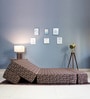 Mira Foam 8 inches 72x47 Queen Size Sofa cum Foldable Mattress