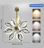 Miraggio Modern LED Chandelier Light